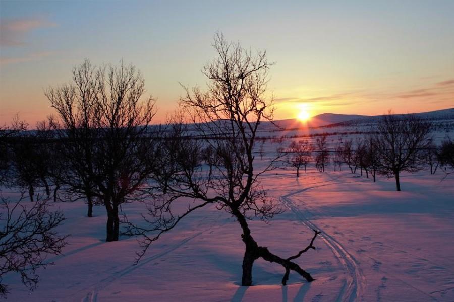 Sunset at Paistunturi wilderness area