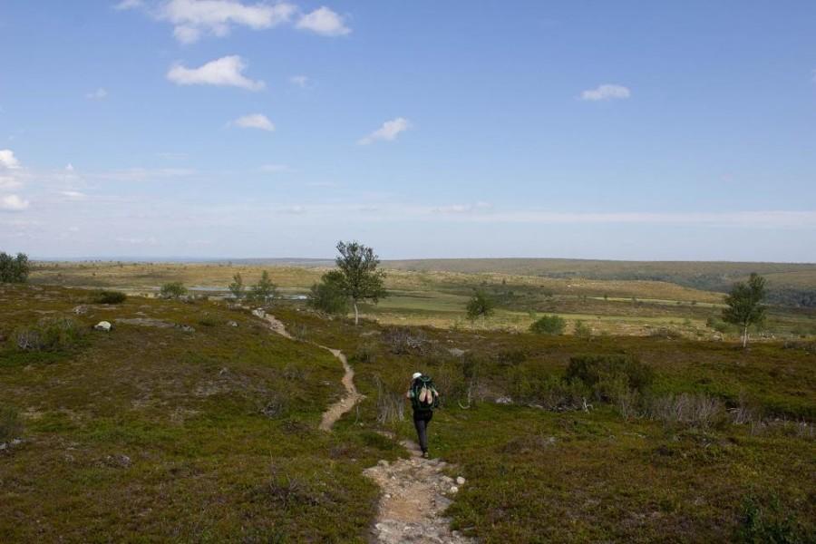 hiking in the wildereness