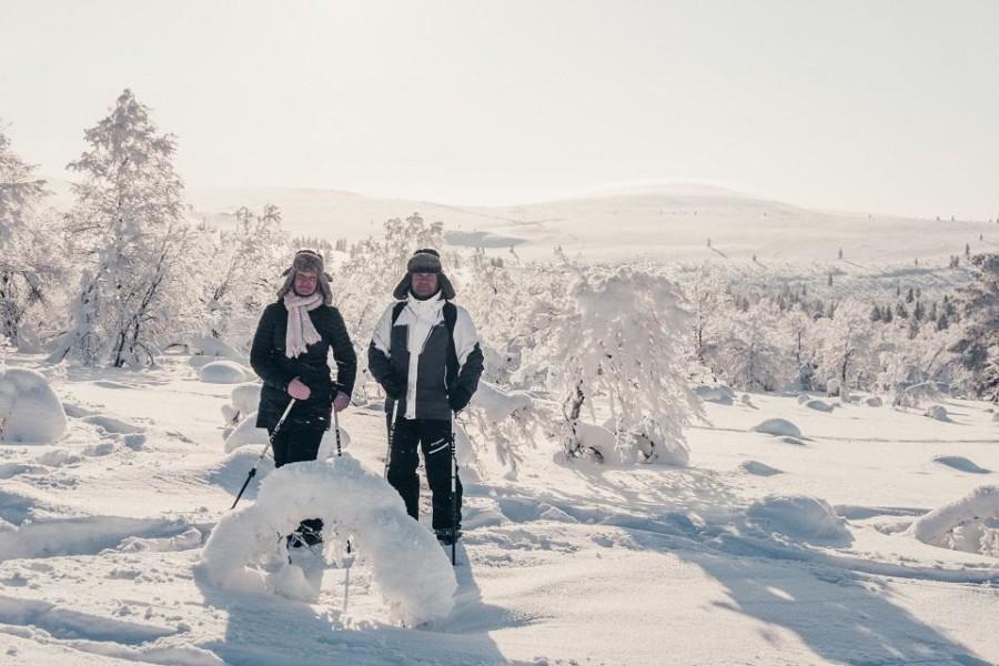 Snowshoeing in Saariselkä