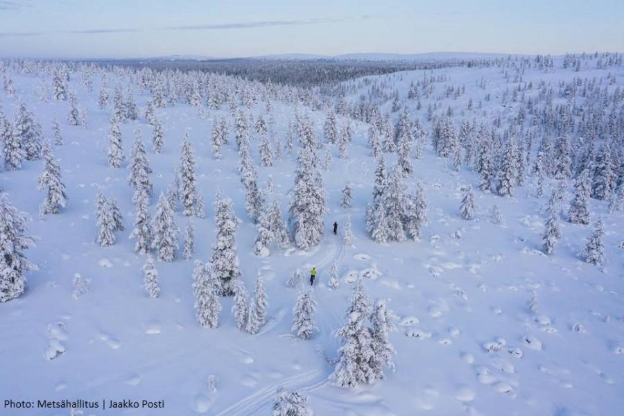 talvipyöräilyä urho kekkosen kansallispuistossa
