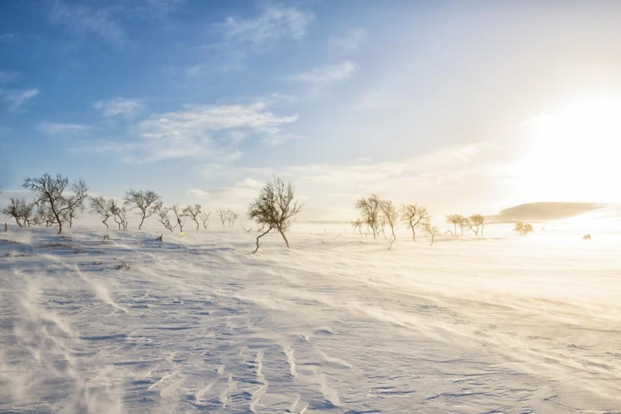 kaldoaivi nuorgam