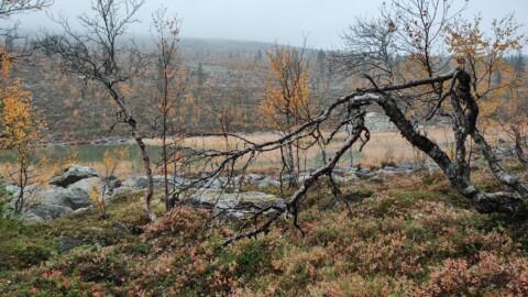 UKK National Park sceneries