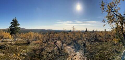 UKK National Park scenery